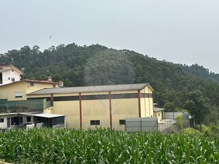 -2122041248096_620f4dbf-ba14-4fa8-b5c2-2abaf21e074e.jpg