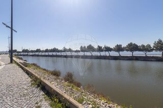 -2122081221286_451c9534-3b10-4d33-a185-280c2b736910.jpg