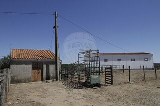 -2122181229393_3cb4b1a6-d1f3-4d38-96c1-e00d12eaa7e2.jpg