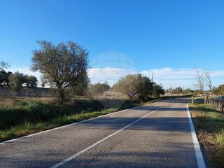 -2122221265047_cfa5d3b1-c23c-47bc-8ed8-3c2cc14320c7.jpg