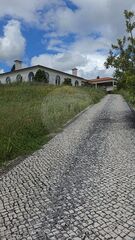 -2122221267146_decf4a6e-93f9-4b15-8d85-431fabcfa654.jpg