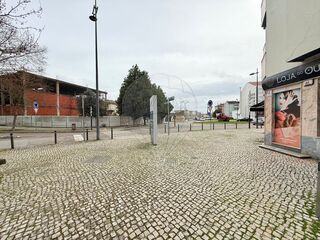 -2122411030103_985afe6d-2775-4777-bd86-318173fe335d.jpg