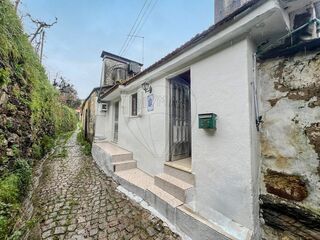 -2122441100086_ce012d40-a54a-4679-b448-94139b038a50.jpg