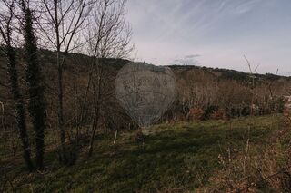-2122441131012_3be939ad-e180-4730-b453-cebfab65faa1.jpg