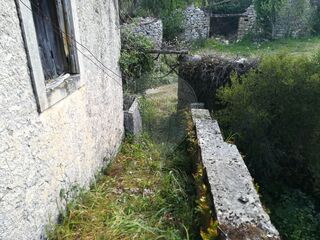 -2122591004640_0e470935-688f-4b8b-9dfc-6be042c8e82c.jpg