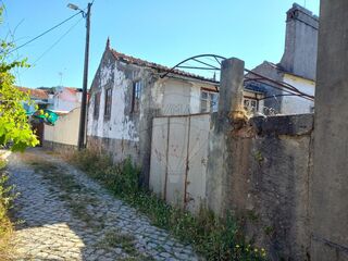 -2122591004716_cd656010-19f5-47cd-b81a-ed38c54a9b0f.jpg