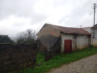 -2122591004746_3b8e7ebb-44f8-40f8-99ad-7cc41a7f634d.jpg