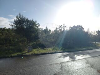 -2122591004748_f5551f05-e1cd-4feb-9c0c-89032e85ad20.jpg