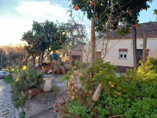 -2122591004750_f334b04a-b941-47f3-a4b8-0608af23f17f.jpg