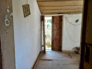 -2122591004771_3289cf6d-777c-4935-a185-78121e56e6db.jpg
