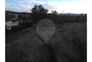 -2122591004789_L_d3553a488a6e4a82bb2d57d698cd97a8.jpg