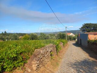 -2122591004791_c5284895-0a25-4a64-ab33-2cfaadeb50c5.jpg