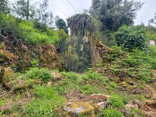 -2122591004830_8d1521af-9398-4193-8950-a013075d984c.jpg
