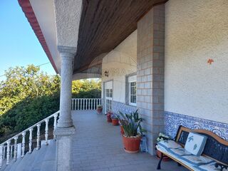 -2122591004846_946eafa1-5ca0-483d-923d-215c39df4822.jpg