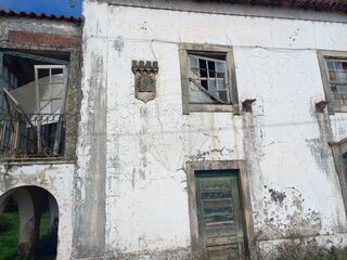 -2122591004853_8bf9681a-c22c-4562-8c52-7c43bf98d61d.jpg