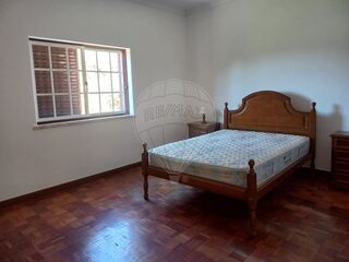-2122591004864_4365e310-d06d-4da4-bbb2-a49bd3a3c3d3.jpg