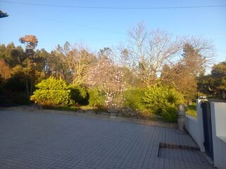 -2122591004869_8ac978ff-bbb7-4f80-9283-8673a739ad42.jpg