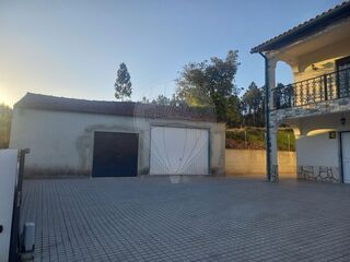 -2122591004869_fade227c-a7db-4944-971c-a91873b6a781.jpg