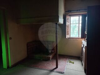 -2122591004870_f2d1f155-7af9-402e-8077-6f6c60f47fd0.jpg