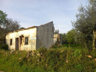 -2122591004875_2da812be-0257-42b4-984d-620afefae0aa.jpg