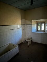 -2122591073126_5ce393aa-dfbb-476b-9733-2b4baeca2a65.jpg