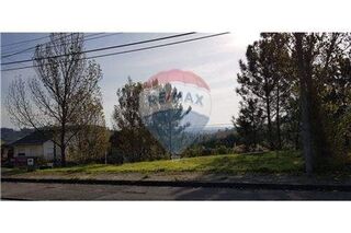 -2122591077107_L_1782fb06b289473ab0d97d56b1caaa92.jpg