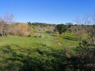 -2122591077287_441c56a6-87ee-4252-8ac2-6f0868950473.jpg
