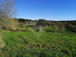 -2122591077287_d94b9aef-5194-4eea-b12d-81a3051f39e4.jpg
