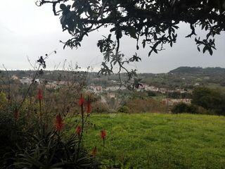 -2122591077343_40bf6dd9-8fc8-44db-9737-b3dc43cb7f3f.jpg