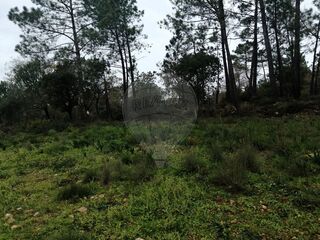 -2122591077343_e4ca8a63-84fb-4a79-aedf-d5fd5b49f66e.jpg