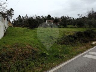-2122591077361_bf55d8e4-1406-46ef-a9f0-b685094f26c7.jpg