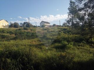 -2122591077369_03d4ec36-e442-46eb-bb05-6c17c4ac1fd0.jpg