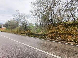 -2122591077411_19dc1be1-b11f-46e3-9678-b7627e2506a7.jpg