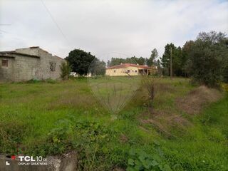 -2122591105012_e8cdfdf4-b0a3-4f93-97d9-f350c1f2e917.jpg