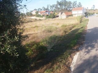 -2122591124005_8051cdc0-fb7d-4a22-af16-5928b05311f2.jpg