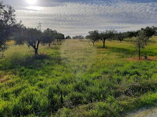 -2122591124103_e1307a46-6504-405d-9bb8-2cfaa6b3fe15.jpg