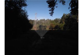 -2122591124122_L_fb25675cd548485d90a836f9c440f0d4.jpg