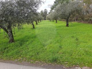 -2122591124143_9ac67253-6734-4062-b152-7da690972509.jpg