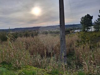 -2122591124205_ea8ab7ac-206c-4107-9b73-c975076fdd0b.jpg