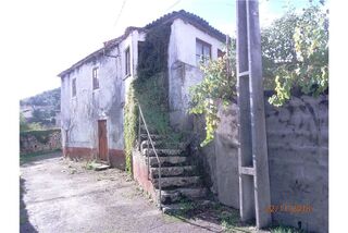 -2122591135010_L_21b57fb71efe461585bc0efd3ff477e8.jpg