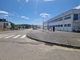 -2122591142080_f098ecb3-84a1-4cf2-a2fe-a3a3d0f1329d.jpg
