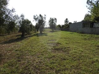 -2122591149003_47bf6a30-478c-4577-8f88-cea76c667f28.jpg
