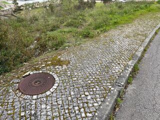 -2122591162003_56f41721-33fe-40df-99b9-350349664d17.jpg