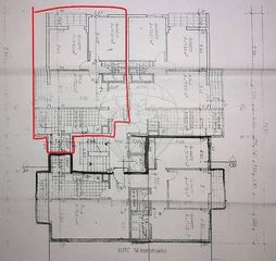 -2122611147070_758aec63-11a4-4467-bf03-dcd676551796.jpg