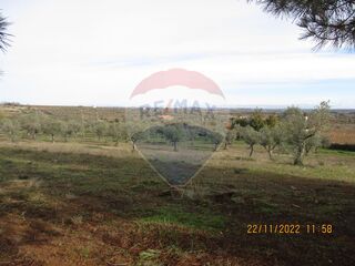 -2122701063288_266e5832-9cb5-4eb2-ac70-29ab6d840c83.jpg