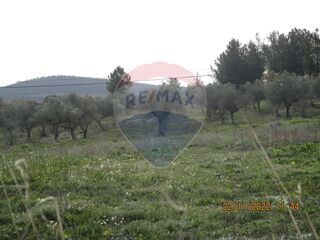 -2122701063288_4cd7e21f-279a-4982-8af5-d5eb5cdbd51f.jpg
