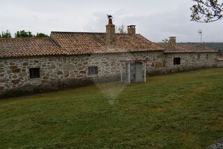 -2122701066170_c25777de-aba9-49a7-82fd-97a6a37697cc.jpg