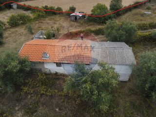 -2122701071188_22c75183-2339-49ea-b8f8-f1e0dc47e8bc.jpg