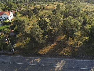-2122701077016_79246d1f-1aa4-41e8-b561-f3df9519c3f2.jpg