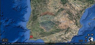 -2122741002219_fdf12069-27de-408d-bfa6-cdbe0c6b7abc.jpg